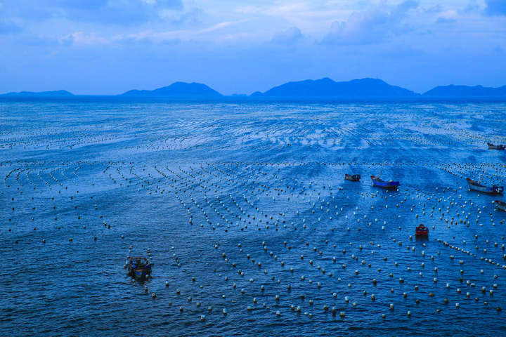 马鞍列岛国家级海洋牧场由嵊泗县海盛养殖投资有限公司投资建设,公司