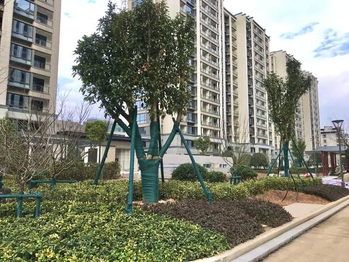 斗潭安置房3月初开始分批交房