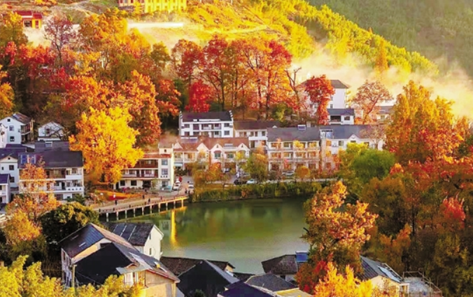 好一幅"富村山居图" 临安指南村现村落景区新景象