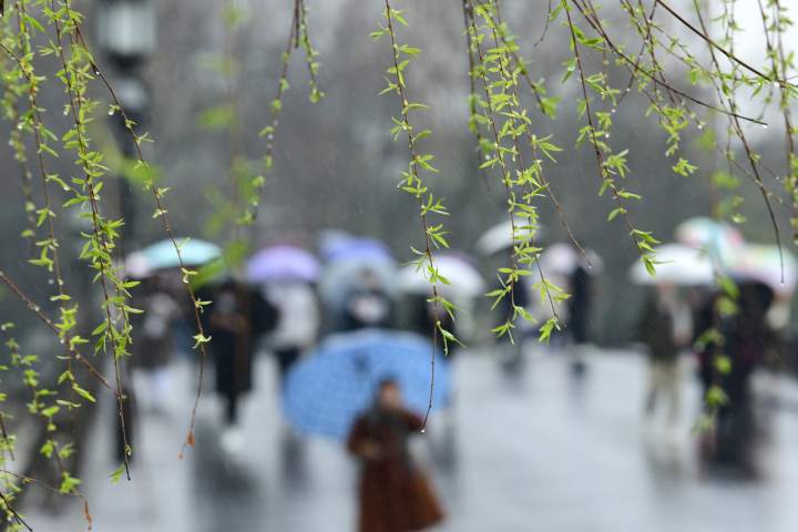 杭州:元宵春雨亦绵绵