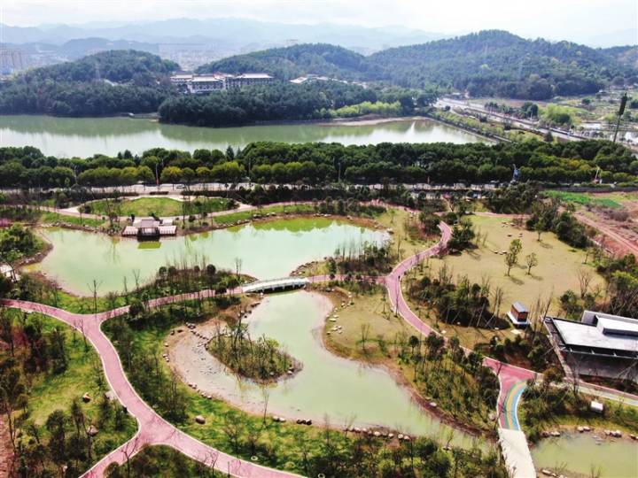 武义 【融媒述评】北岭市民广场公园为啥聚人气?