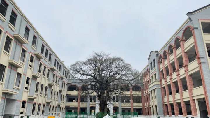 首批迎来280名一年级新生 嘉善这所小学启用新校区