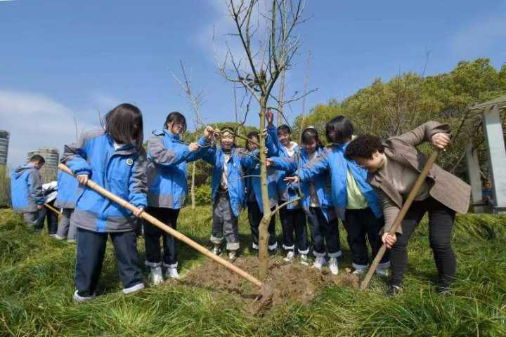 植树节将至 茅盾中学师生校园内共植一片绿