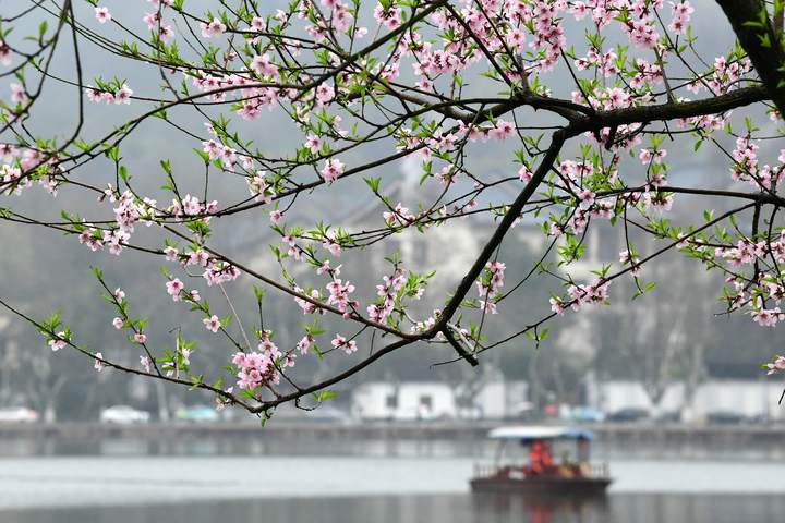 杭州:烟雨西湖 春寒料峭