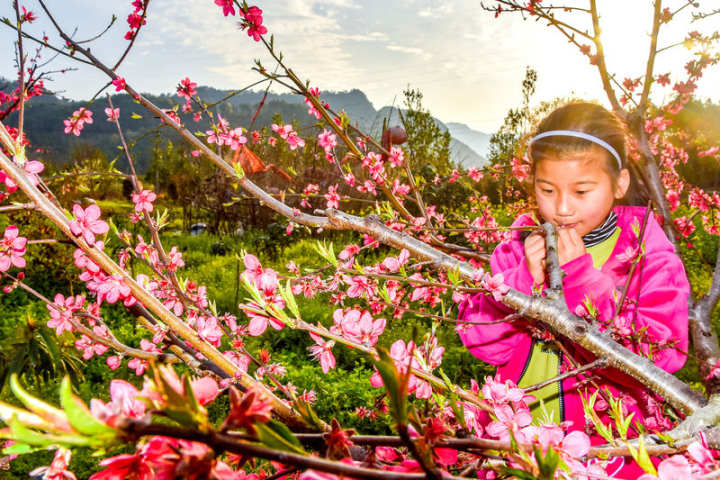 金东区第十一届源东桃花节开幕丨以"花"为乐 奏响"乡村振兴"新华章