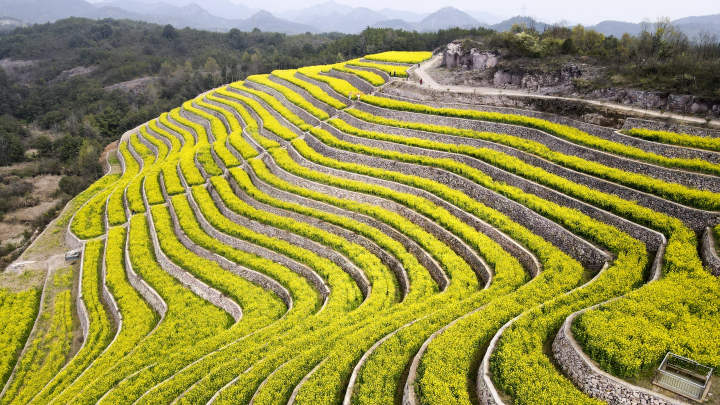 永康山改地带动乡村振兴