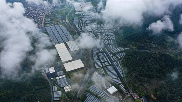武义寿仙谷药业登上《人民日报》海外版!| 聚焦中医药