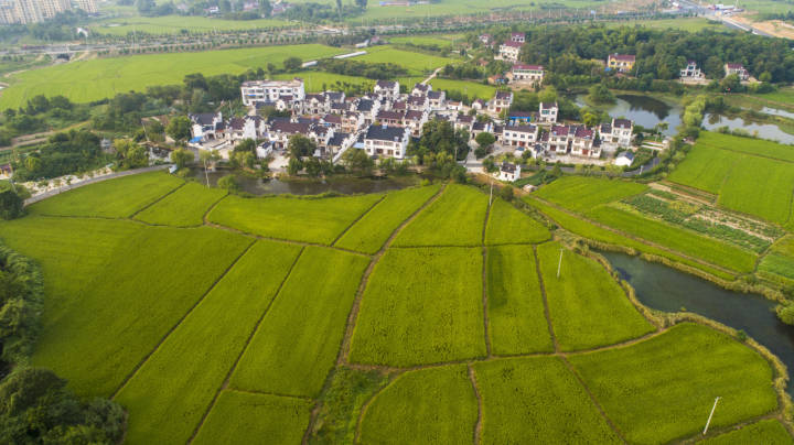 图片来源:视觉中国近日,平湖市曹桥街道章桥村党委书记冯国中和记者谈