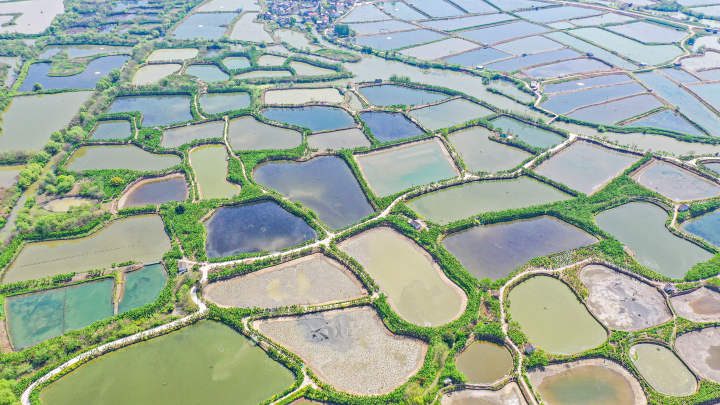 湖州:桑基鱼塘景如画