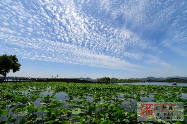 芒种西湖有晴天(里尔摄影)1.jpg