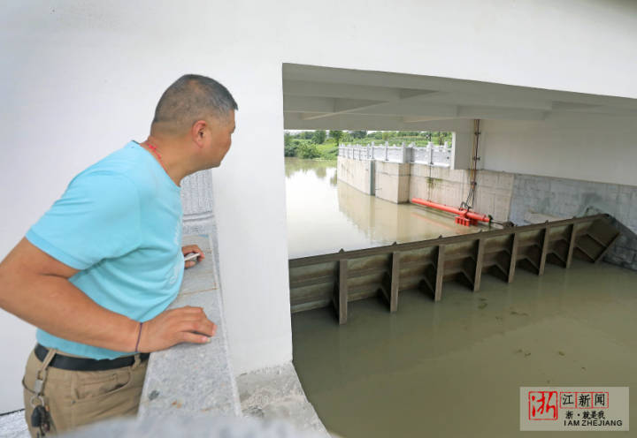 杭州水乡筑起防洪排涝"安全闸"