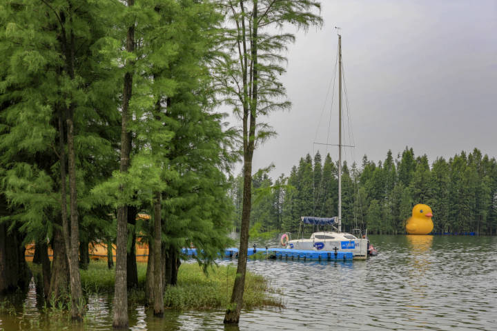 《走进兰湖》泰格摄于兰溪兰湖旅游度假区《走进兰湖》泰格摄于兰溪兰