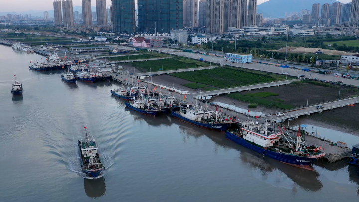 东海全面开渔大批海鲜将游上温州市民餐桌