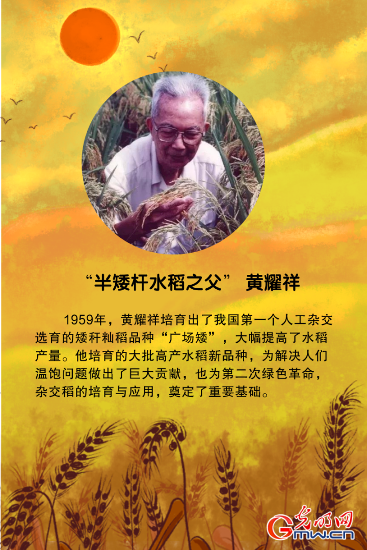 "半矮杆水稻之父 黄耀祥"杂交水稻之父 袁隆平小麦育种专家 程顺和"