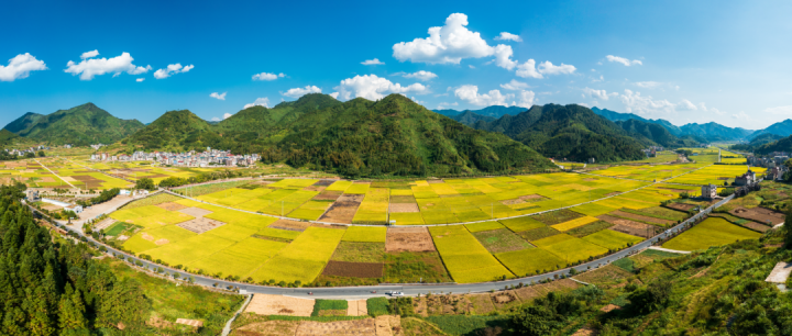 礼赞丰收看开化丰收醉美风景