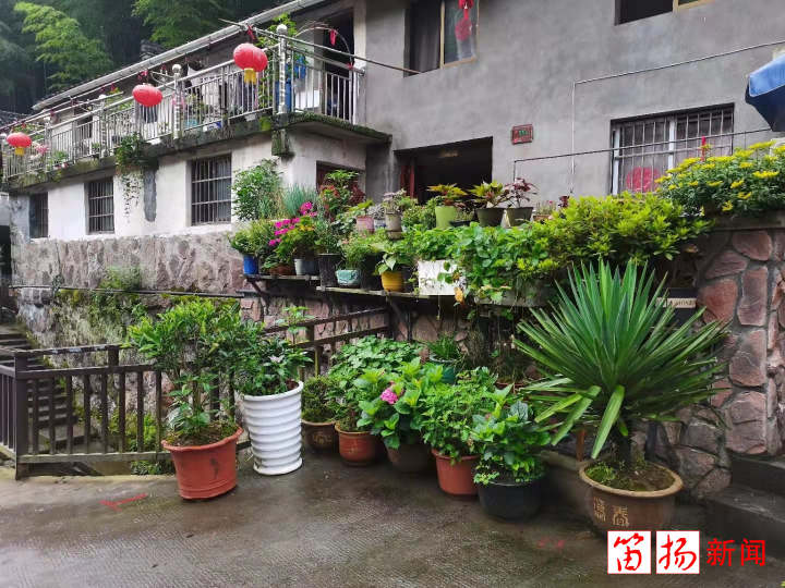 平水合心村建立奖励机制 农家小院原来还能这么美