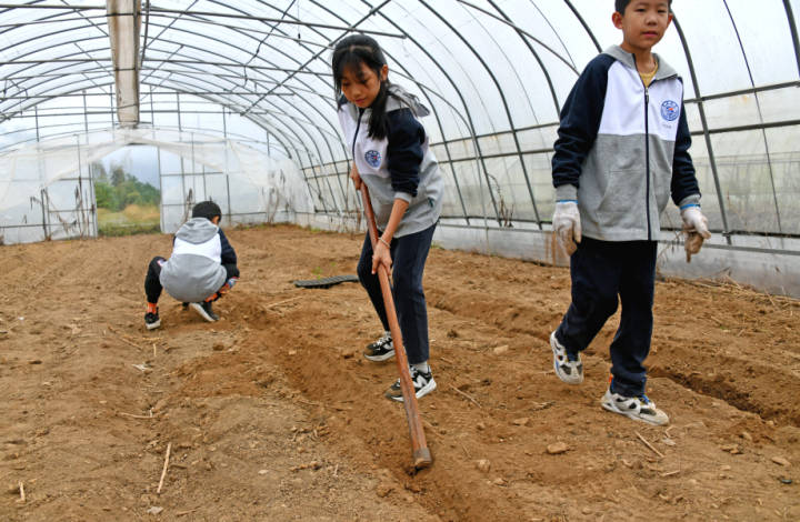 仙居田间劳动助力双减