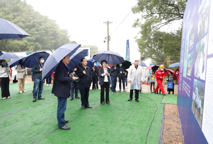 启动仪式结束后,领导嘉宾们还前往九华乡九华村,实地考察了九华未来