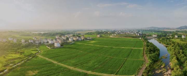 富美与共空间重构柯城全域土地综合整治与生态修复工程综述