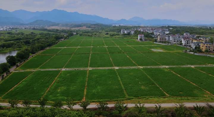 富美与共空间重构柯城全域土地综合整治与生态修复工程综述