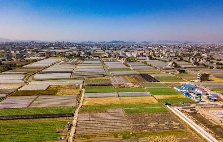 全域土地综合整治出成效