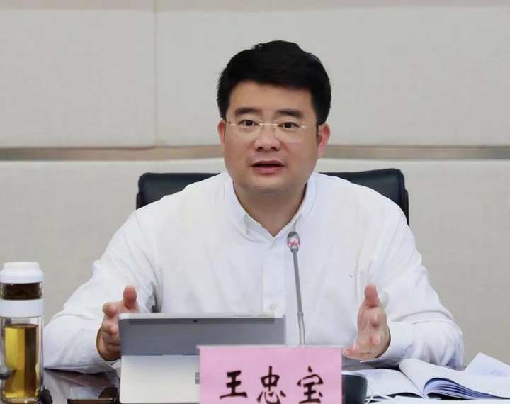 落到实处抓出成效龙泉如何做好今年改革工作王忠宝提出三点要求