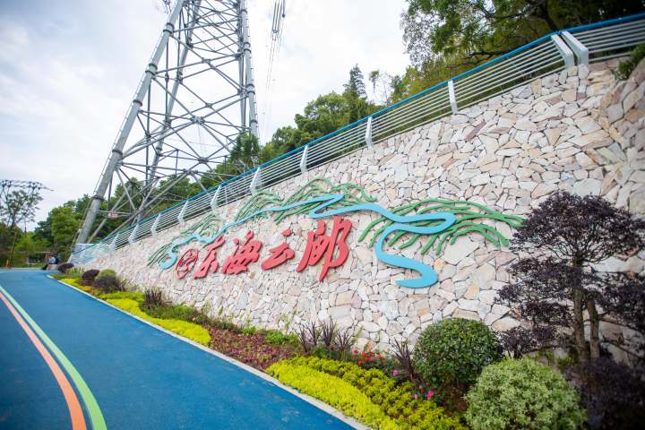 揭秘丨便道变绿道东海云廊的另一面定海防涝重器