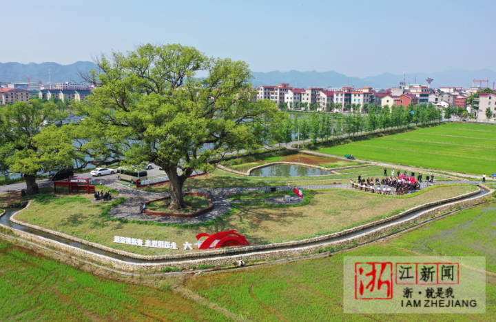 5月14日,东阳市城东街道寀卢村共享田园里,来自全市各界优秀青年代表