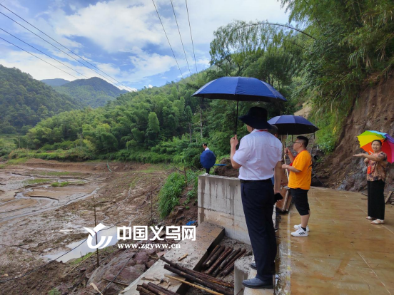 义乌大陈人大代表开展防汛防溺水工作专项督查