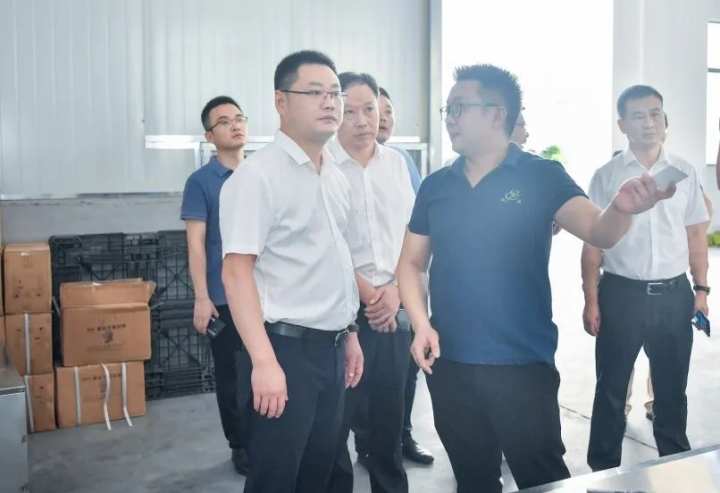 新昌县茶产业发展情况>8月26日,县委副书记,县长王奇洲在调研我县茶