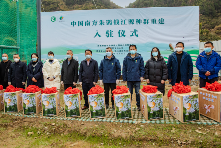 研究基地的首批10只朱鹮正式"迁居"位于衢州市开化县的钱江源国家公园