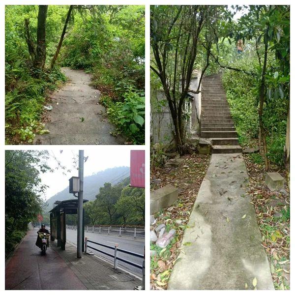 椒江屷崦路区块慢行系统即将开工太和山游步道来了