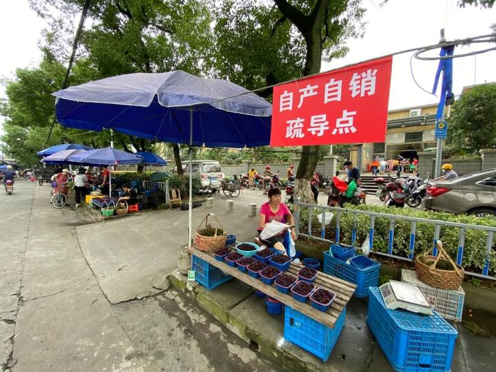 宁波公布首批52个点位,邀请农户摆摊卖杨梅!