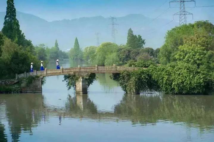 南官河:"美丽河湖"绽放"美丽经济"