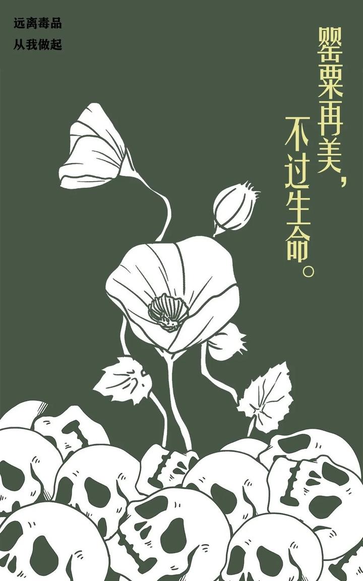 该海报主要想表达罂粟花的危害性,画面中可见罂粟花扎根在一堆骷髅头