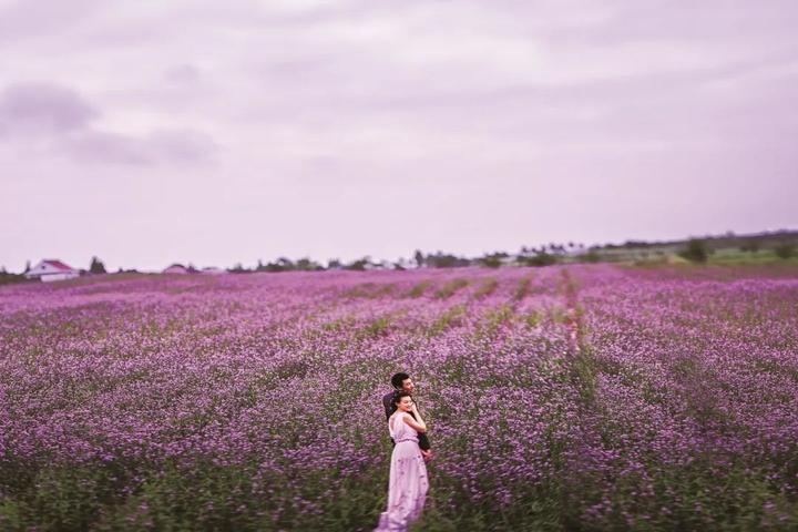 碧云花海农场