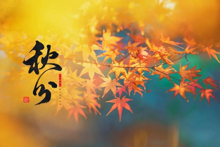 秋分已至秋意渐浓