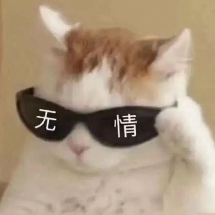 简直不敢相信!十一期间可能还有台风要来?