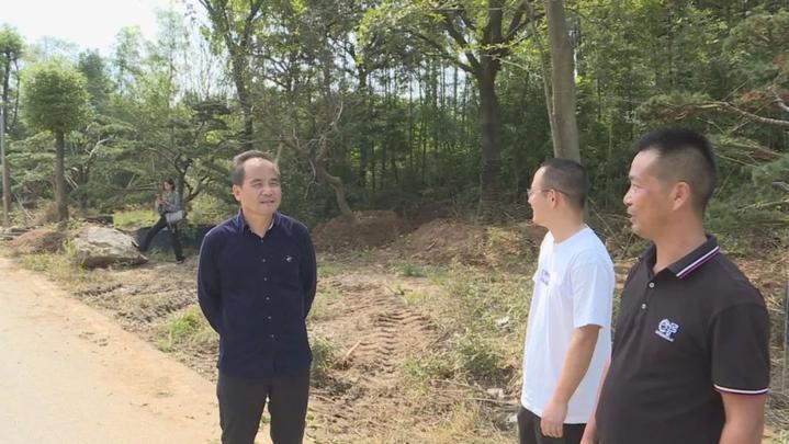 全面小康安吉榜样⑤丨梅溪镇红庙村:抓基础促转型 老树新枝叶更茂