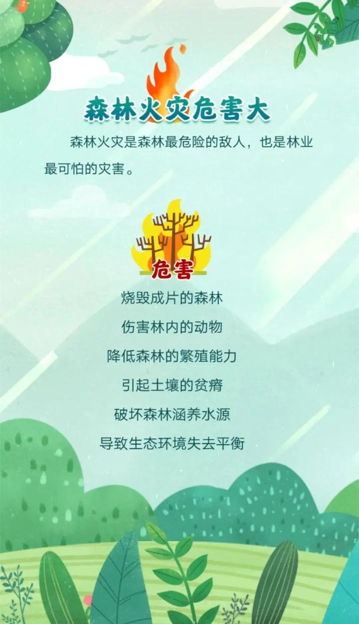 林火焚危害森林防火安全的行为将被严惩