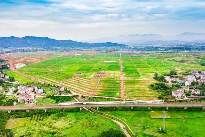 六抓六比 八大竞赛 验收超万亩 柯城全域土地综合整治念活"土地经"