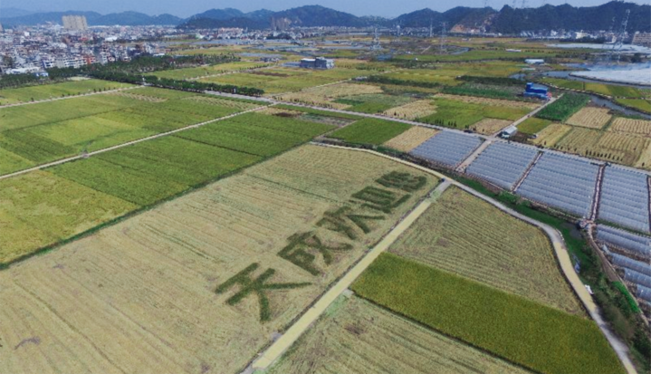 天成街道党工委书记黄淑贤立足天成实际奋勇争先激扬温州人精神为秀美