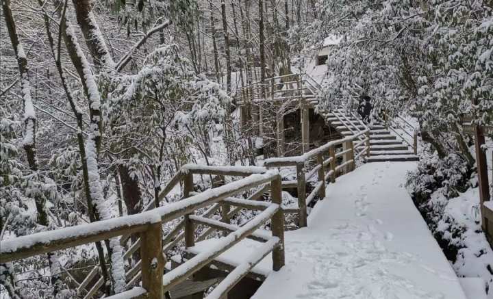 最低-12℃!新年第一波强冷空气抵达!雪景美翻了