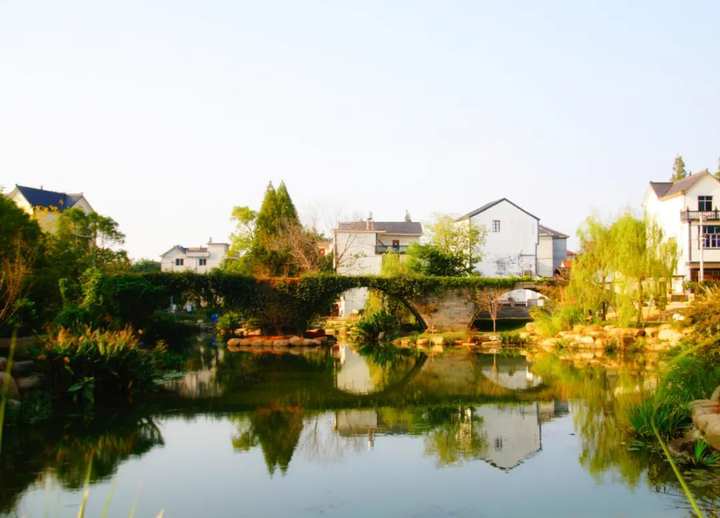 衢江区峡川镇大桥村柯城区航埠镇严村村柯城区花园街道新姜村柯城区