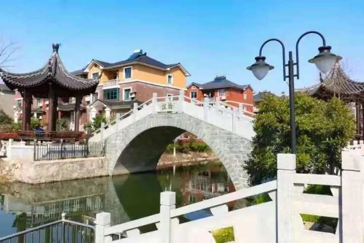 灵桥镇 浙江新闻官网