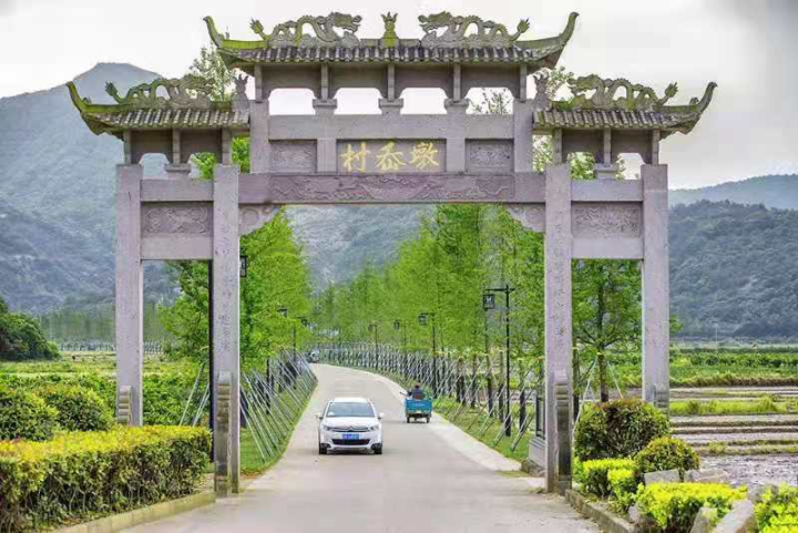 丈量象山最美海岸线 满窗春绿更山光—探访泗洲头镇墩岙村