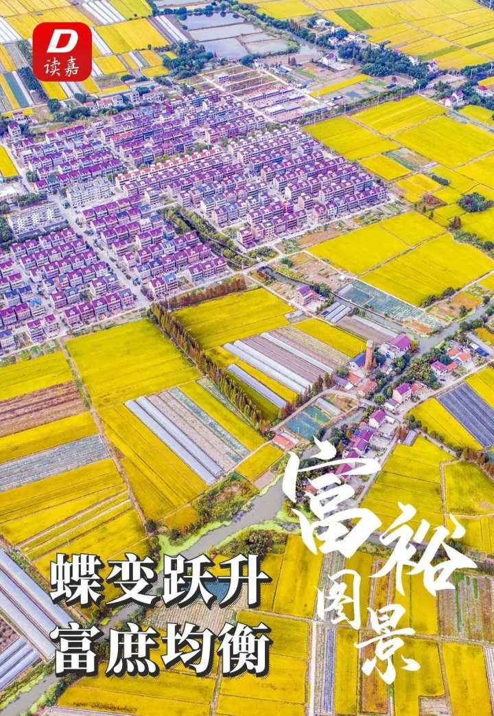 嘉兴奋力建设共同富裕典范城市 "五幅图景"描摹共富美好社会