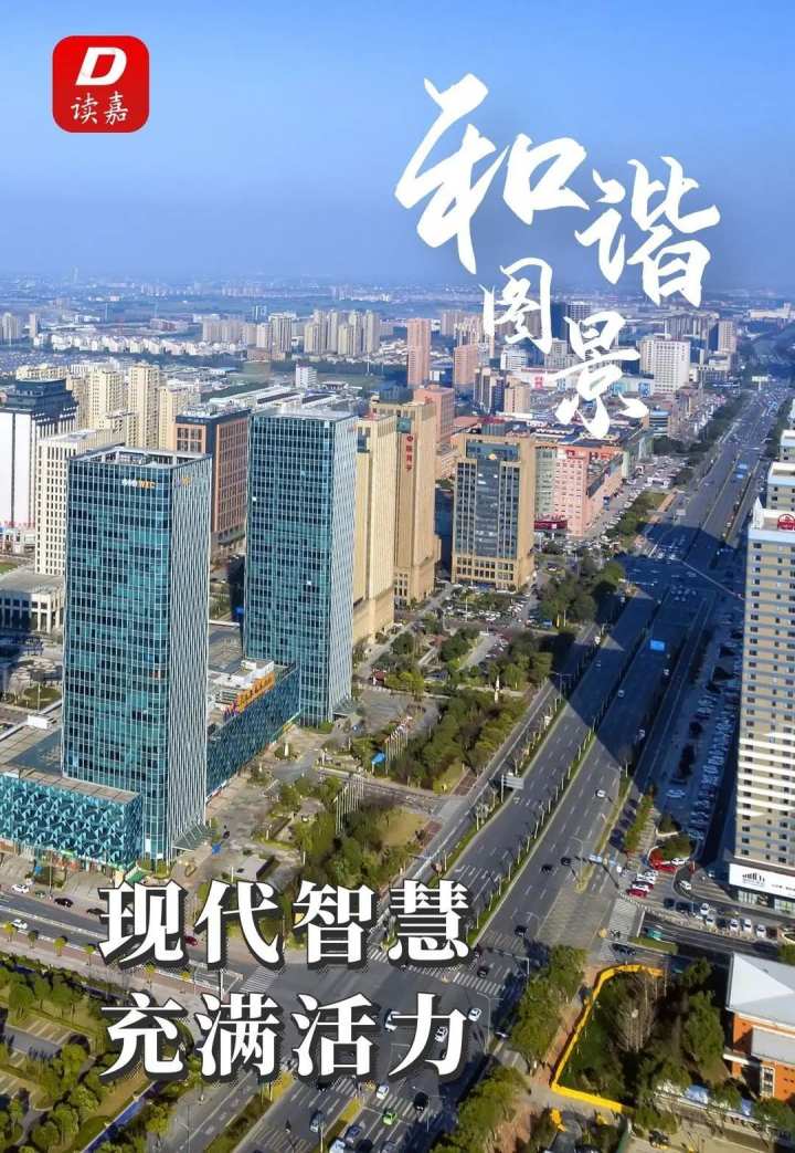 嘉兴奋力建设共同富裕典范城市"五幅图景"描摹共富美好社会