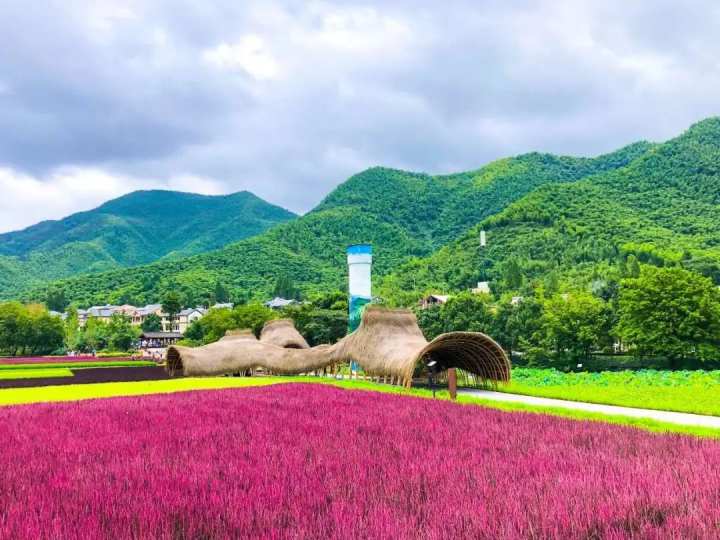 全球性荣誉!湖州这个村获评世界最佳旅游乡村