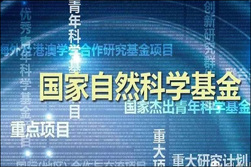 人口老龄化_人口福利基金项目申报